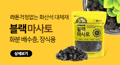 ë¸”ëž™ë§ˆì‚¬í†  ë°°ë„ˆ